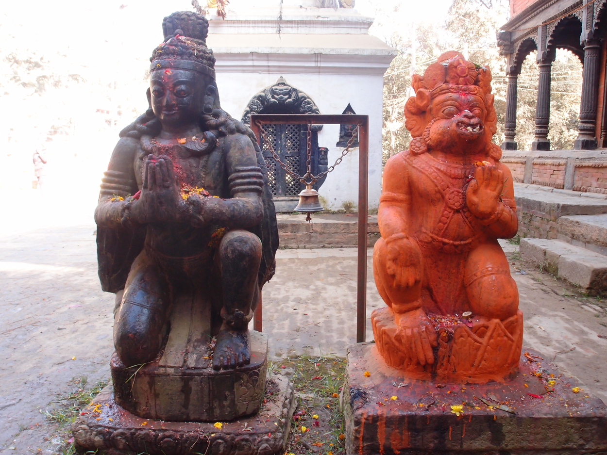 2018-01-23 10 Uhr - Pharping (Audio, Foto, Video) 